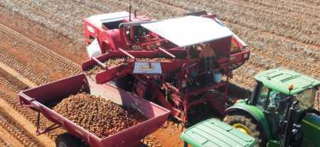 Allan Potato Harvester